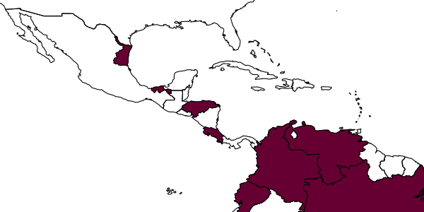 map of Enicospilus kleini     Gauld, 1988